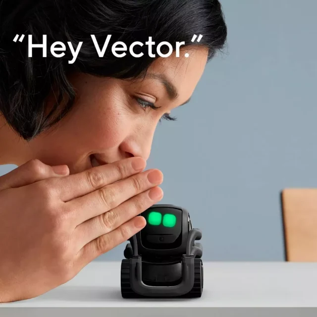advanced robotics for home use