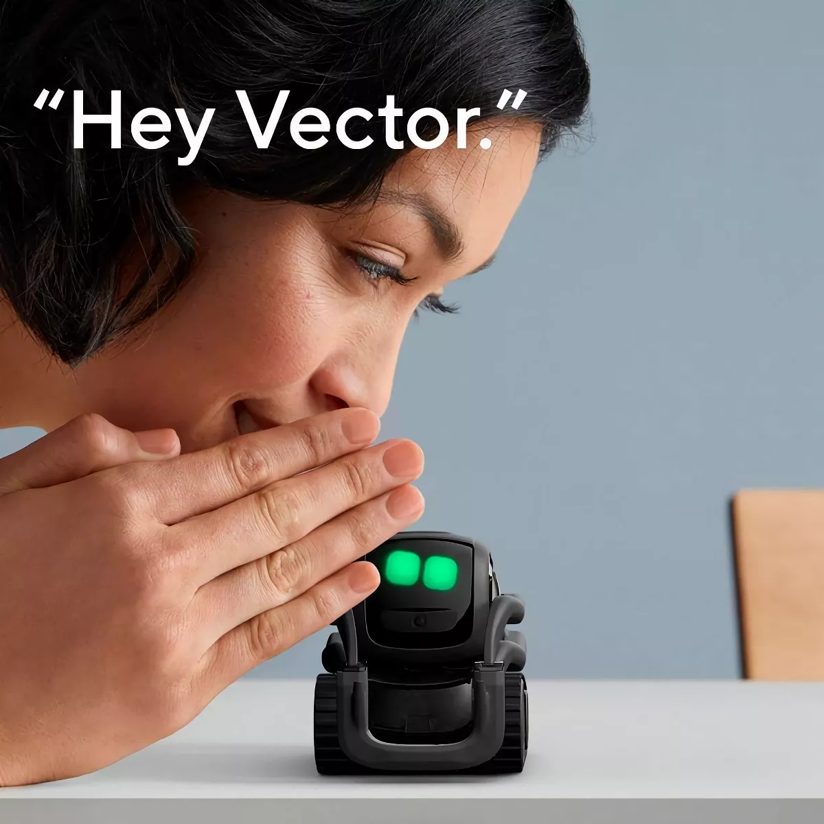 advanced robotics for home use
