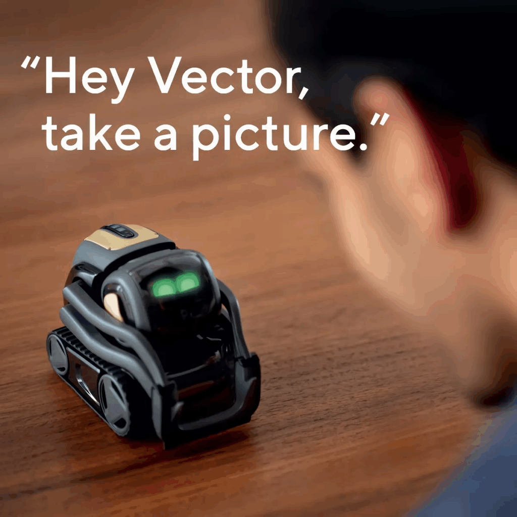 advanced robotics for home use